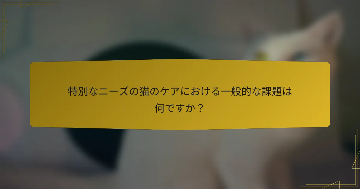 特別なニーズの猫のケアにおける一般的な課題は何ですか?