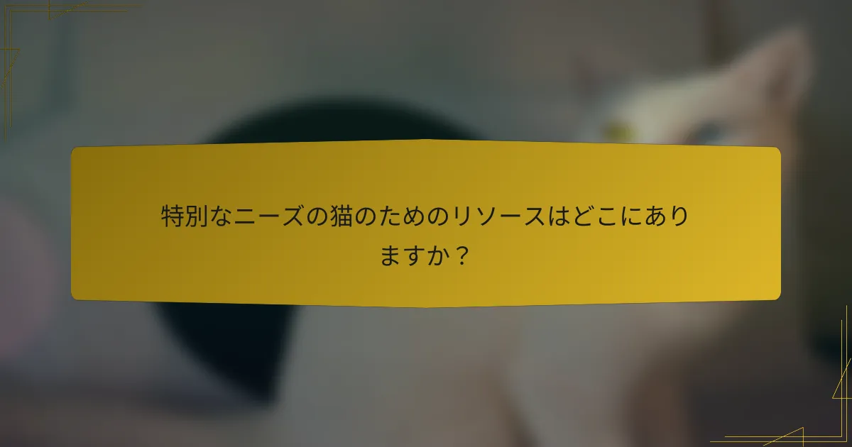 特別なニーズの猫のためのリソースはどこにありますか?