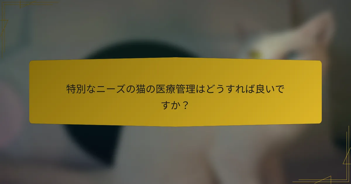 特別なニーズの猫の医療管理はどうすれば良いですか?