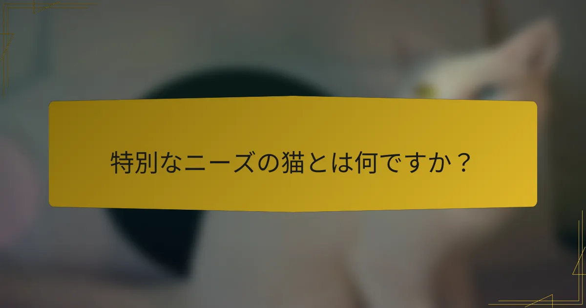 特別なニーズの猫とは何ですか?