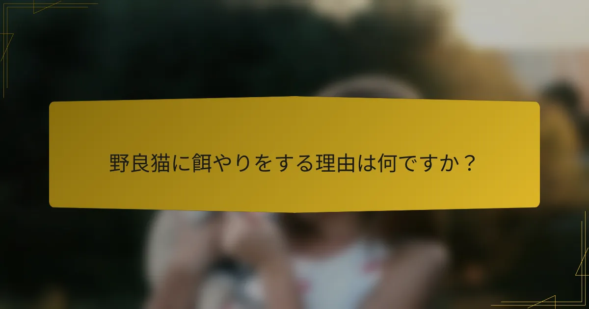野良猫に餌やりをする理由は何ですか？