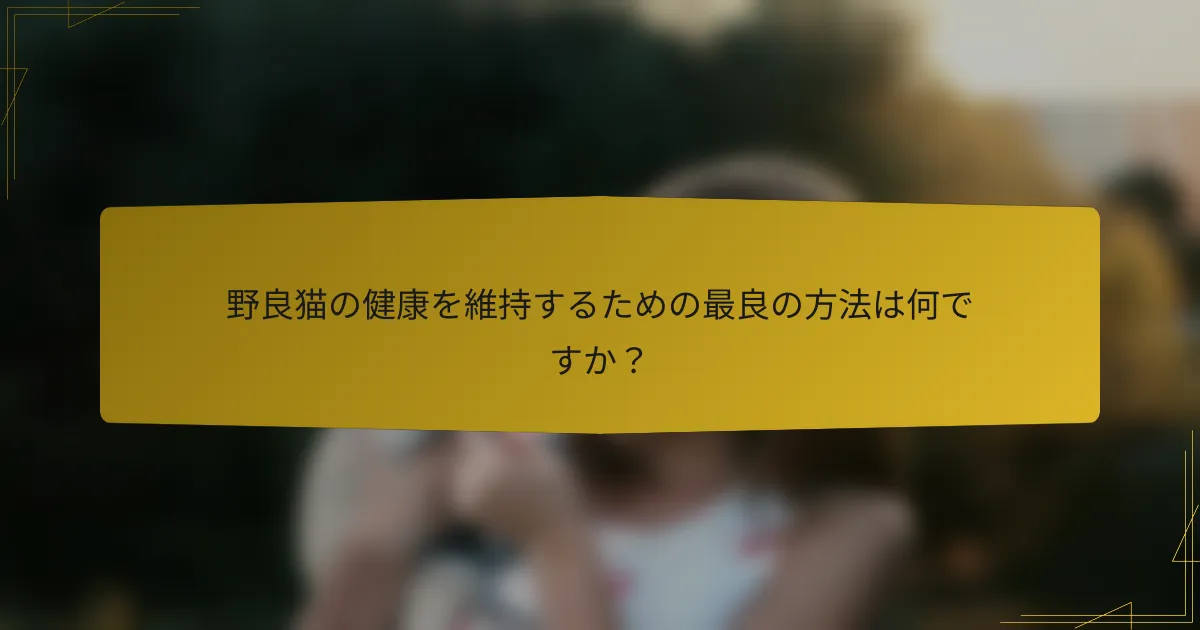 野良猫の健康を維持するための最良の方法は何ですか？
