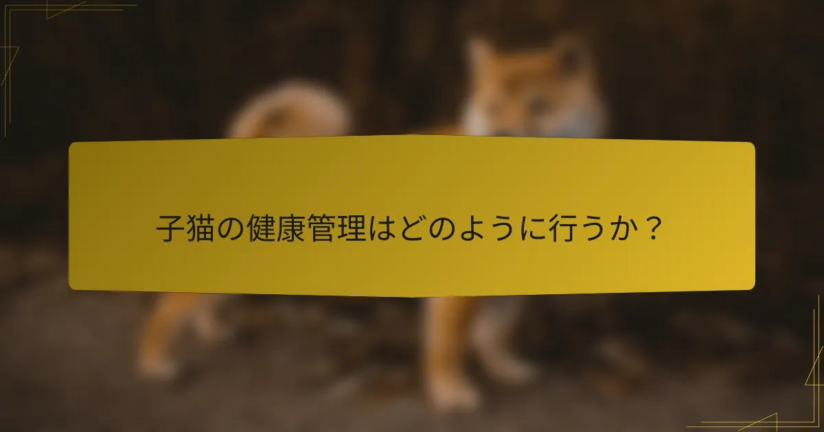 子猫の健康管理はどのように行うか?
