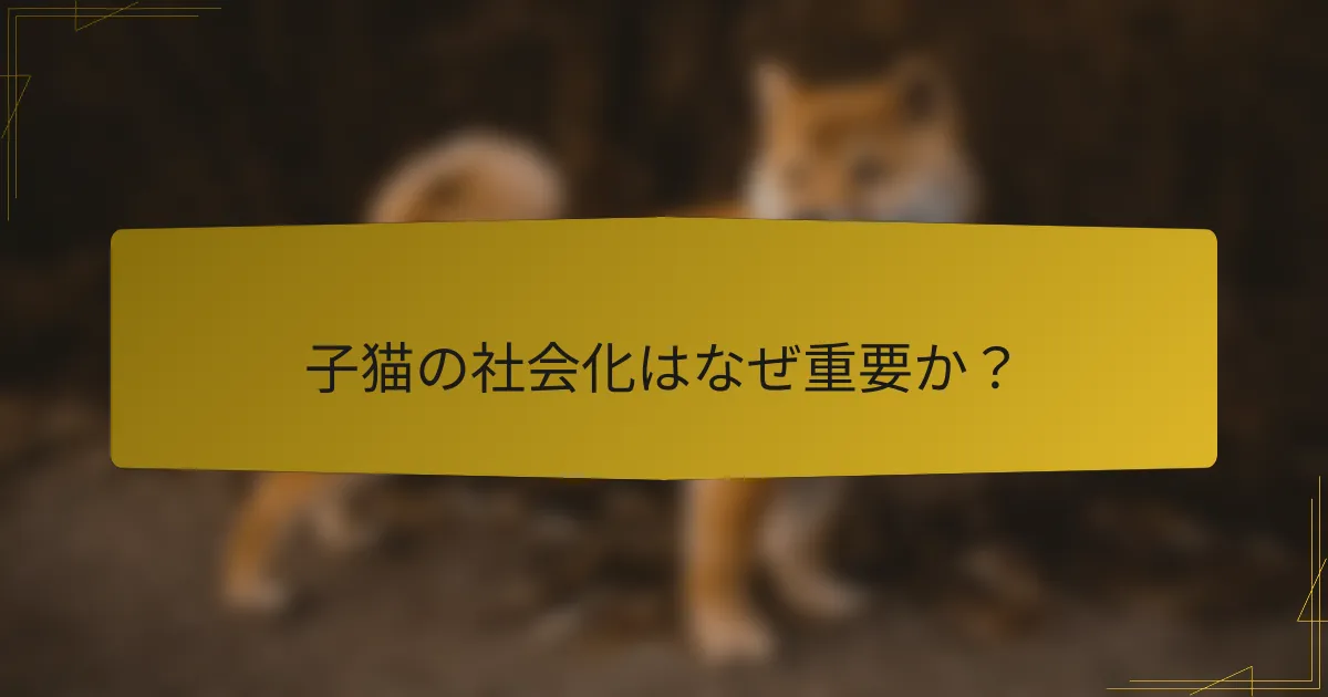 子猫の社会化はなぜ重要か?